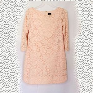 Vince Camuto Blush Floral Lace Shift Dress SZ 12